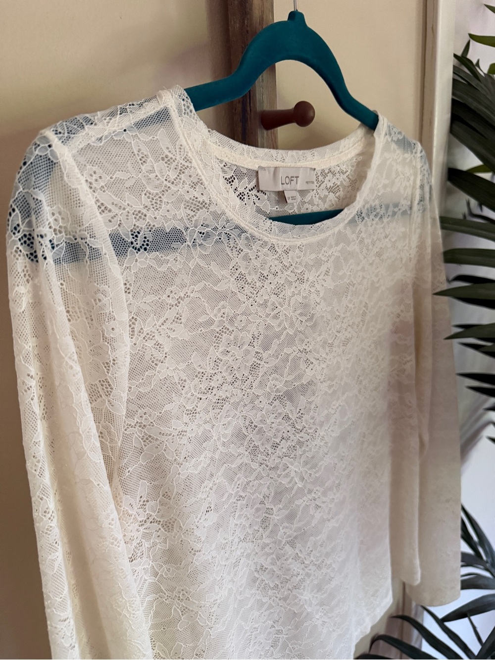 LOFT Ivory Sheer Lace Long-Sleeve Top